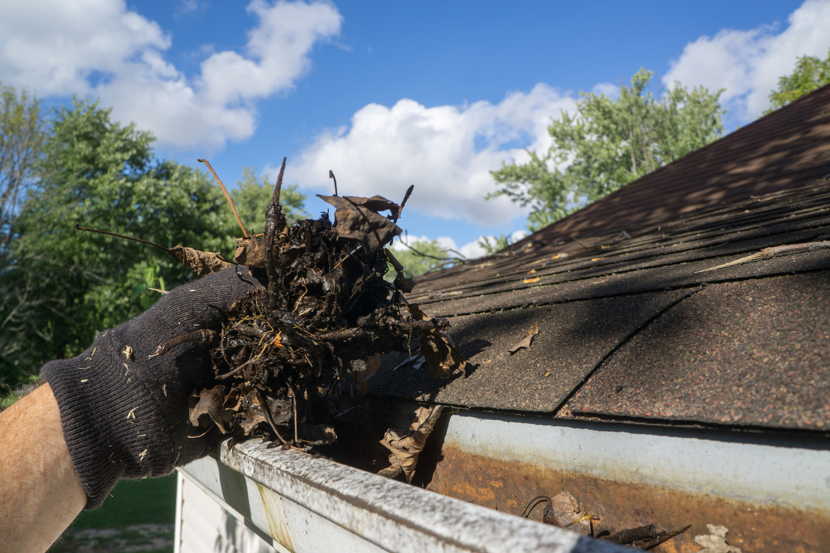 Gutter Cleaning Melbourne