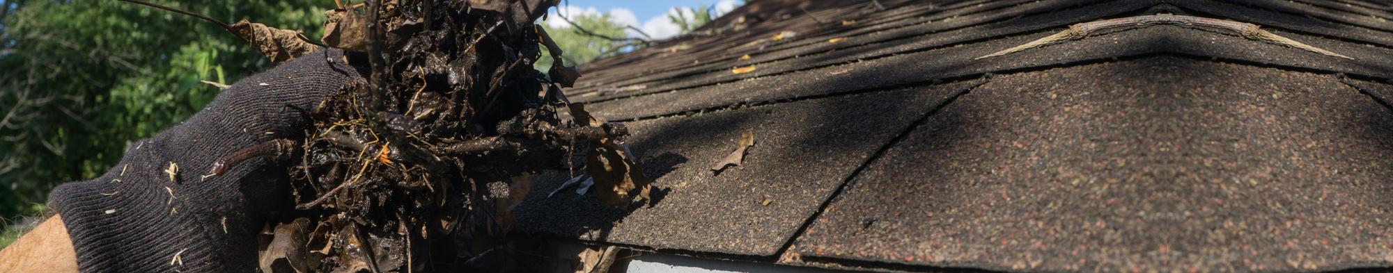 Gutter Cleaning Cheltenham